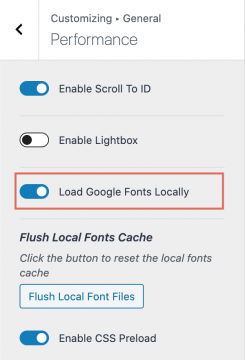 Kadence Theme Performance Load Google Fonts Locally