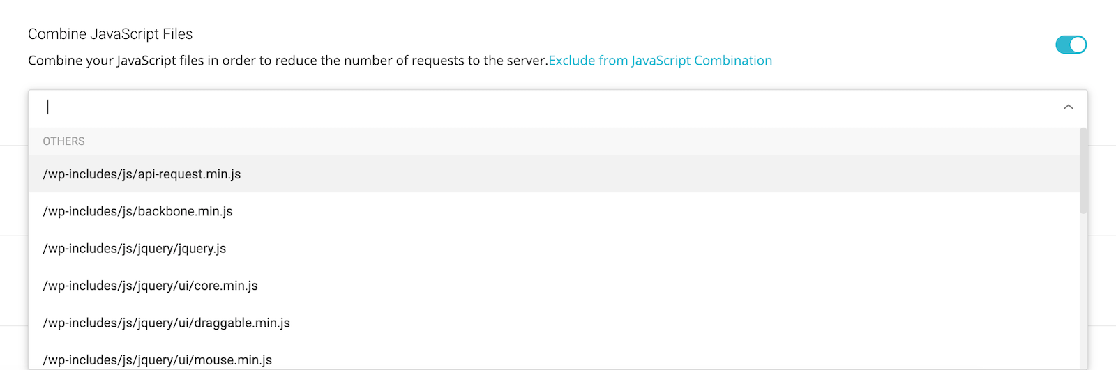 Best SG Optimizer Settings 2025 (To Pass Core Web Vitals)