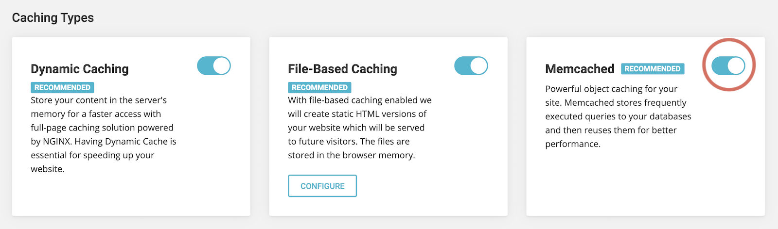 Best SG Optimizer Settings 2025 (To Pass Core Web Vitals)